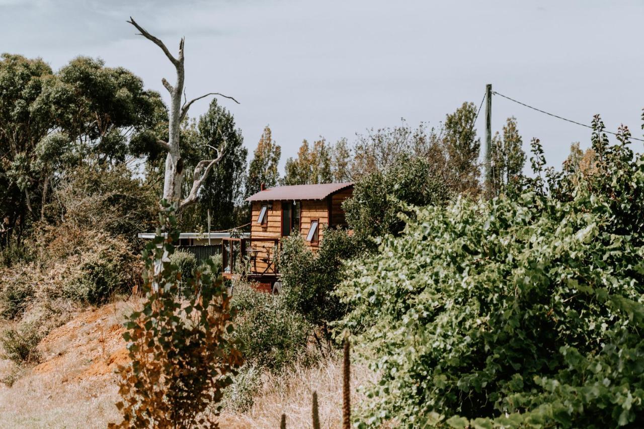 Belmont Homestead Swansea Zewnętrze zdjęcie
